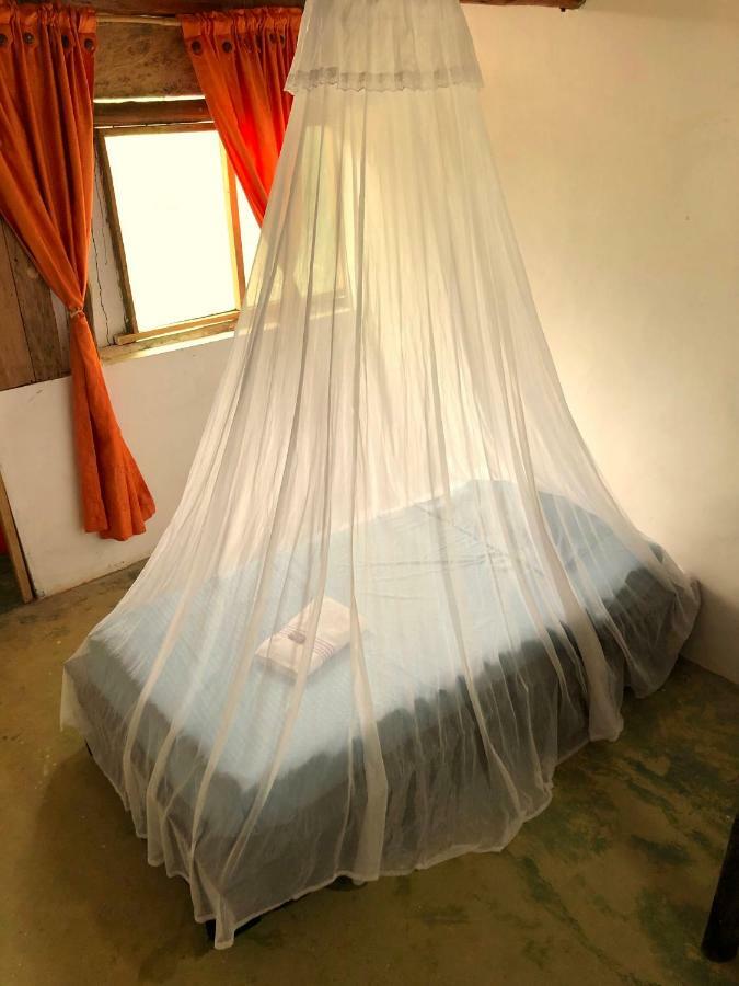 Moon Wind Tayrona Hostel Ел Заино Екстериор снимка